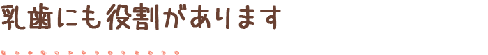 乳歯にも役割があります